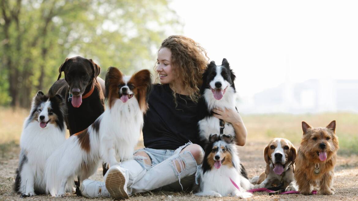 Fortalece la conexión con tu cachorro